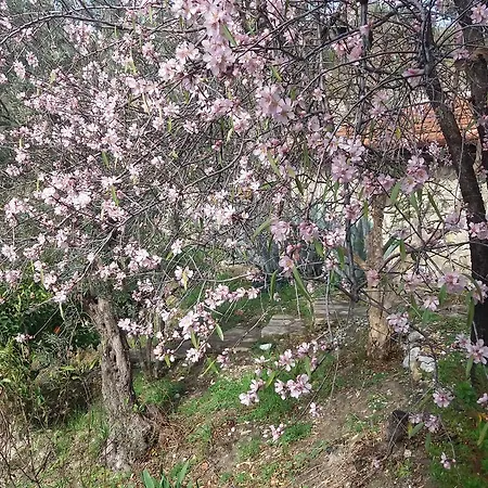 Les Bergeries D'aspendos Alojamento de Acomodação e Pequeno-almoço *